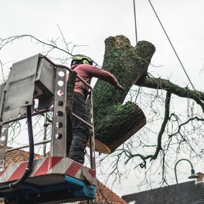 Man in platform putting chopped tree in right direction.