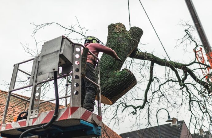 Man in platform putting chopped tree in right direction.